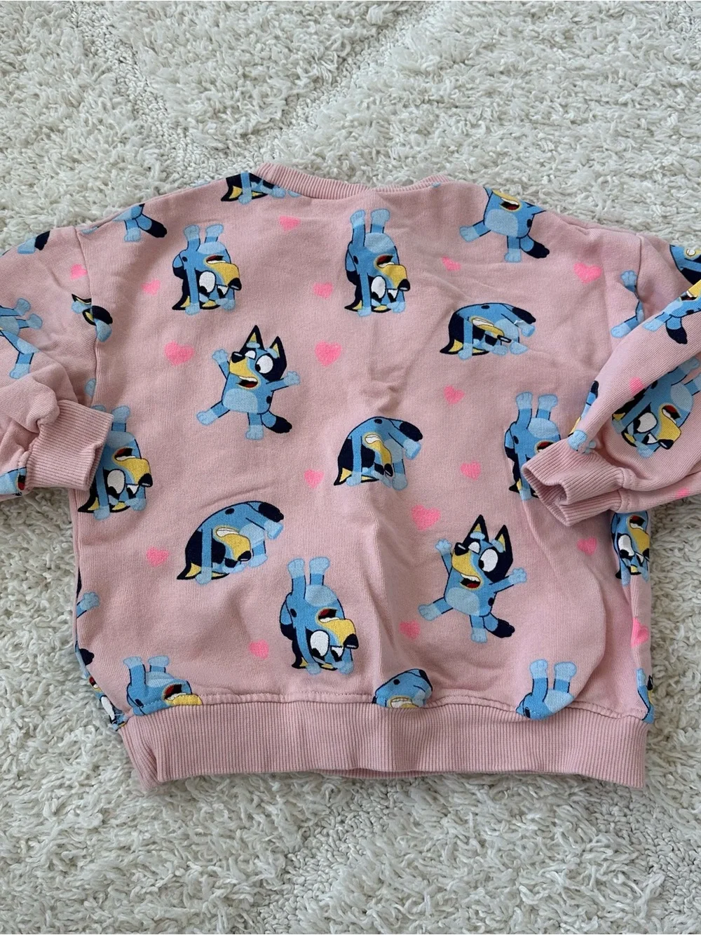 Zara Pink Bluey Set